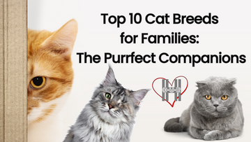 Top 10 cat breeds for families